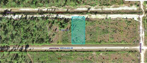 0.5 Acres of Land for Sale in Indian Lake Estates, Florida
