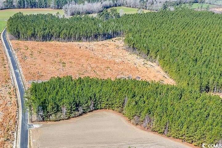 20.6 Acres of Land for Sale in Green Sea, South Carolina