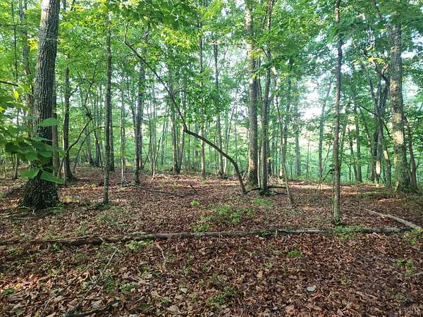 5.17 Acres of Residential Land for Sale in Evington, Virginia