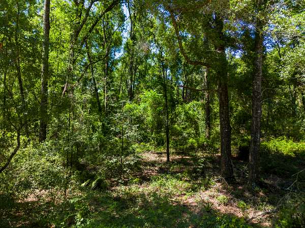 4 Acres of Agricultural Land for Sale in O'Brien, Florida