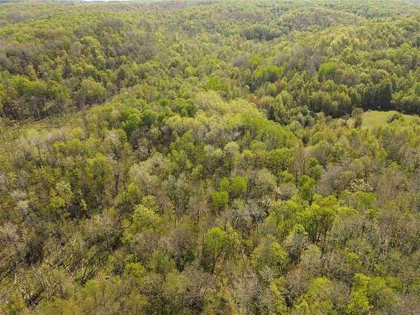 40 Acres of Recreational Land for Sale in East Jordan, Michigan