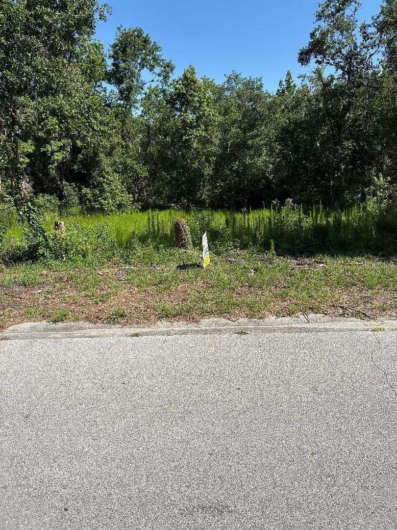 0.94 Acres of Residential Land for Sale in Riverview, Florida