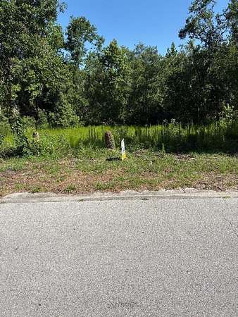 0.94 Acres of Residential Land for Sale in Riverview, Florida