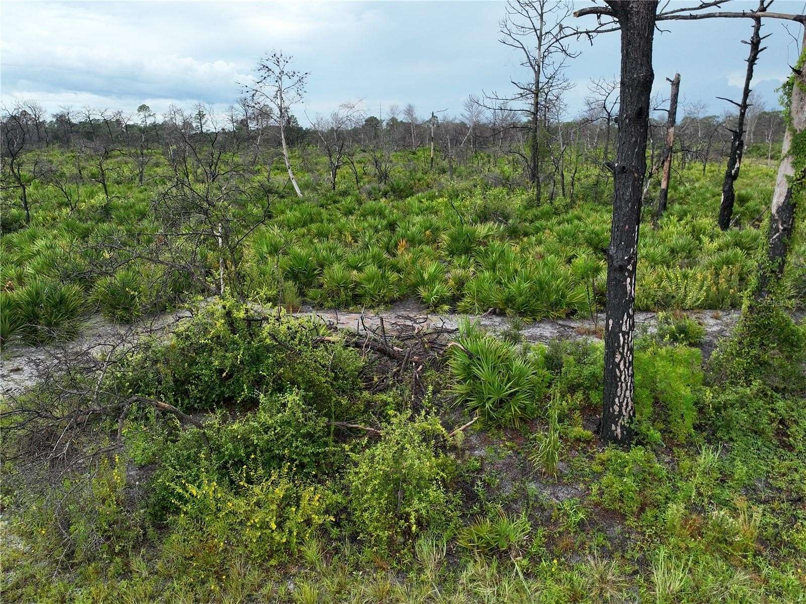 0.29 Acres of Residential Land for Sale in Lake Placid, Florida