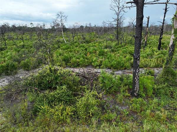 0.29 Acres of Residential Land for Sale in Lake Placid, Florida