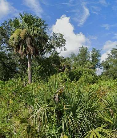 0.23 Acres of Residential Land for Sale in Punta Gorda, Florida