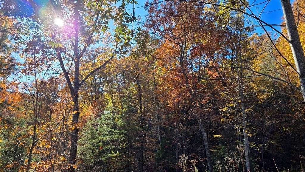 0.96 Acres of Land for Sale in Murphy, North Carolina