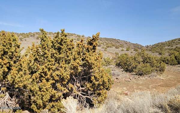 40 Acres of Land for Sale in Sparks, Nevada