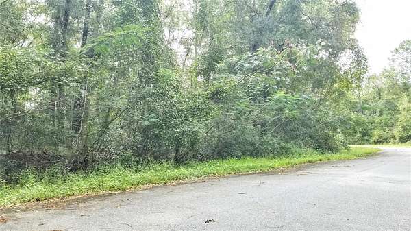 0.43 Acres of Land for Sale in Citrus Springs, Florida