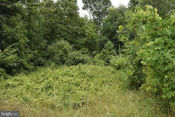 17 Acres of Recreational Land for Sale in Warfordsburg, Pennsylvania