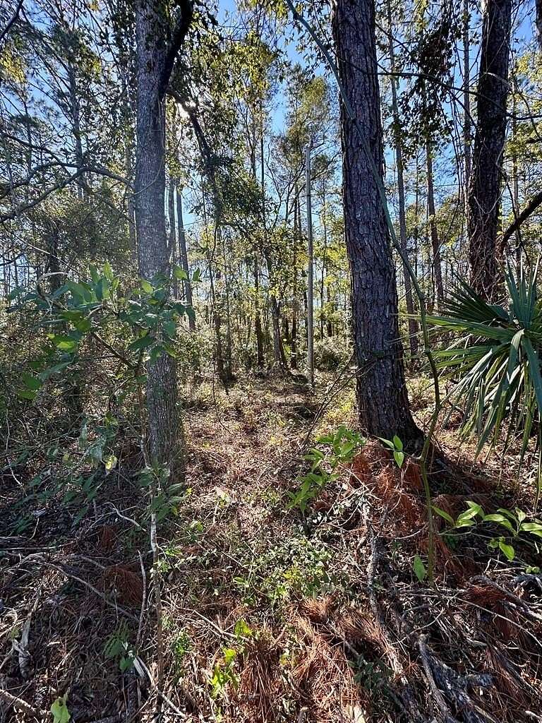 1.77 Acres of Commercial Land for Sale in Cross City, Florida