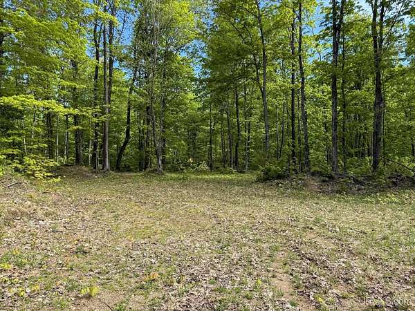 40 Acres of Land for Sale in Painesdale, Michigan