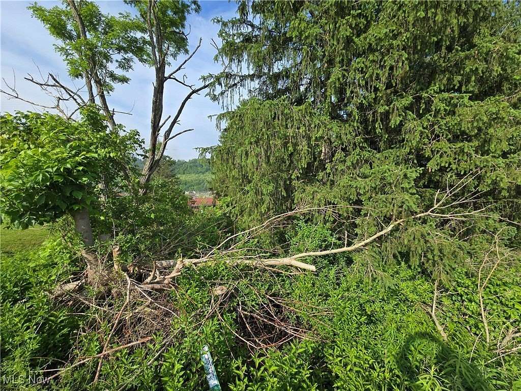 0.17 Acres of Residential Land for Sale in Bridgeport, Ohio