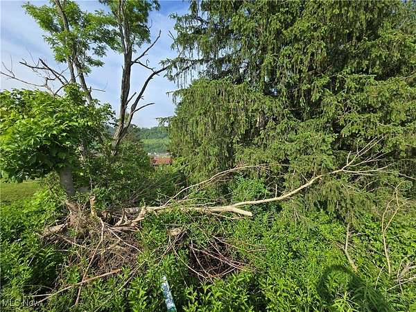 0.17 Acres of Residential Land for Sale in Bridgeport, Ohio