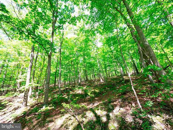 0.5 Acres of Residential Land for Sale in Winchester, Virginia