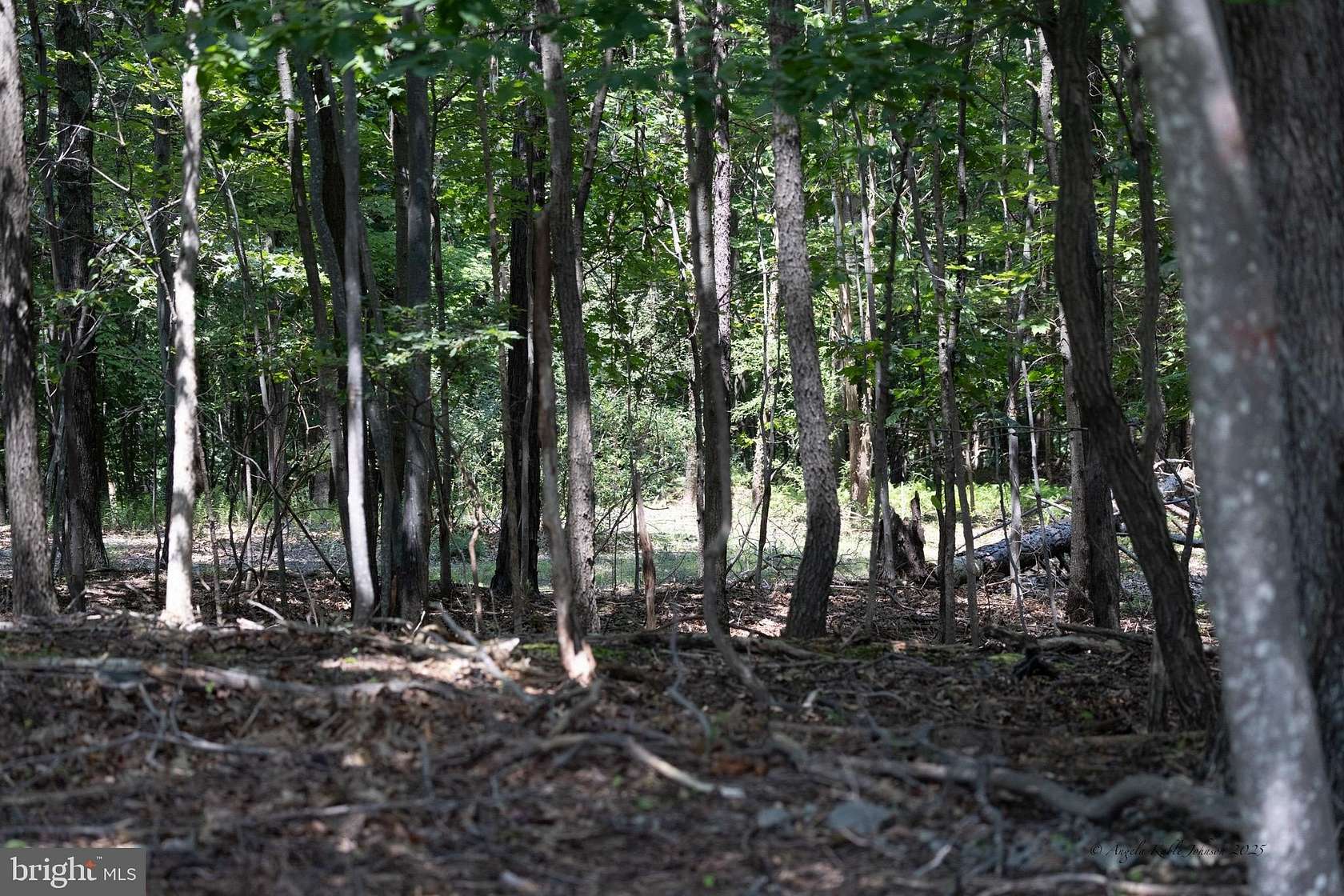 10.6 Acres of Land for Sale in Gerrardstown, West Virginia