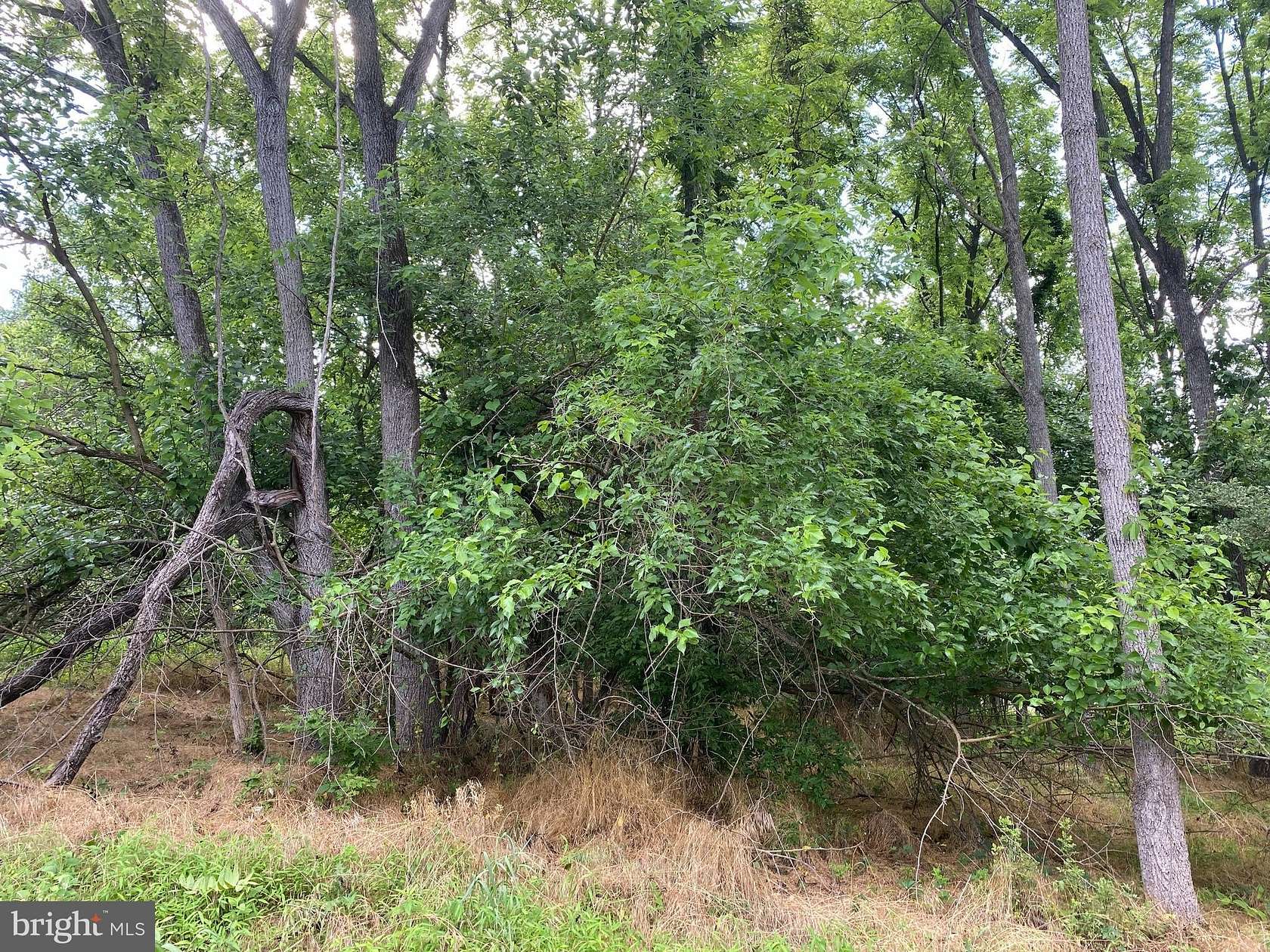 2.6 Acres of Residential Land for Sale in Harpers Ferry, West Virginia