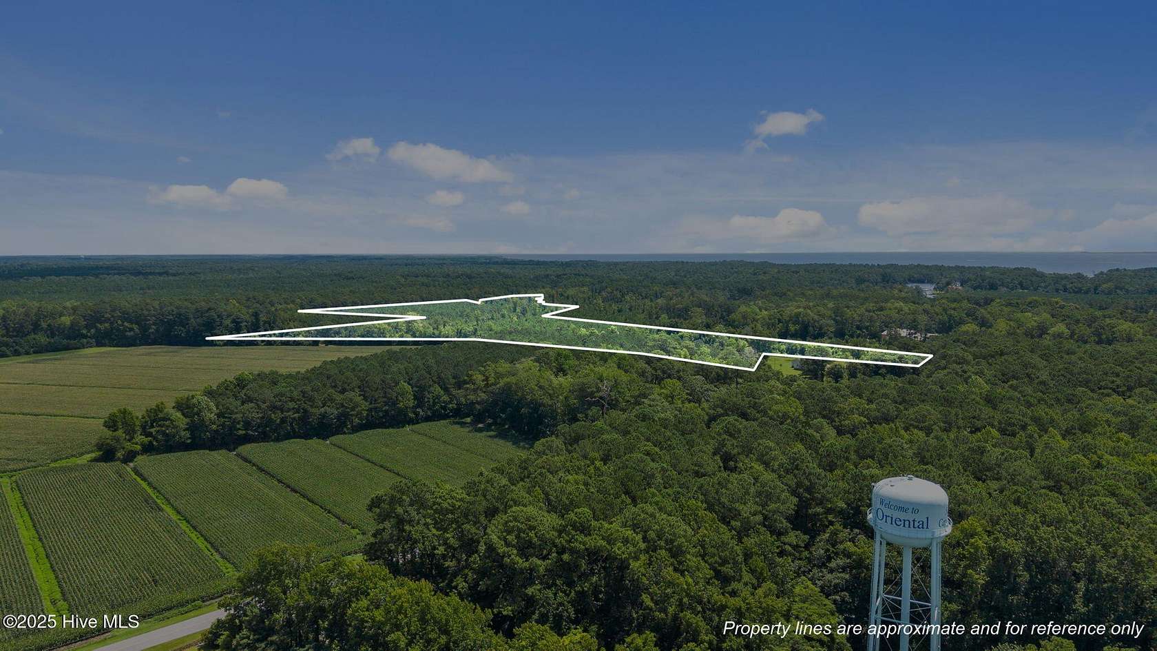 37.2 Acres of Recreational Land & Farm for Sale in Oriental, North Carolina