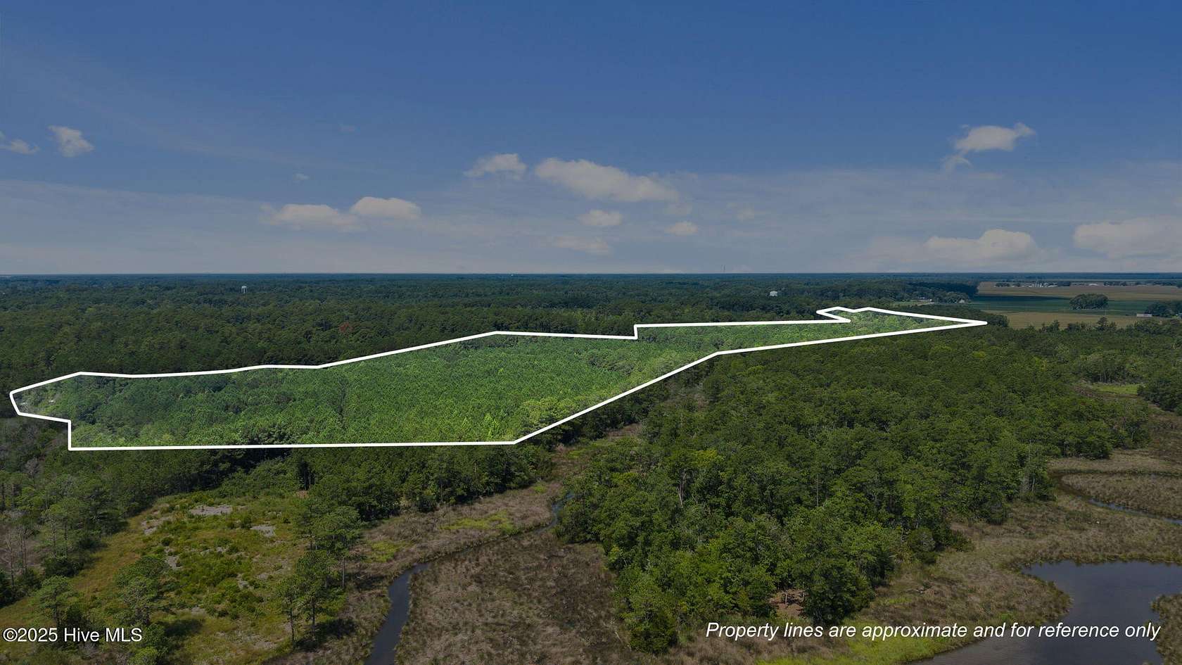 37.2 Acres of Land for Sale in Oriental, North Carolina