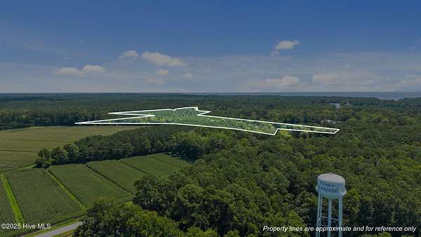 37.2 Acres of Recreational Land & Farm for Sale in Oriental, North Carolina