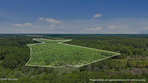 37.2 Acres of Land for Sale in Oriental, North Carolina