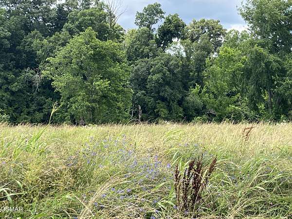 0.33 Acres of Residential Land for Sale in Sevierville, Tennessee