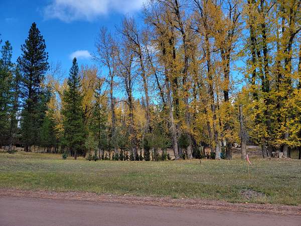 1.7 Acres of Residential Land for Sale in Seeley Lake, Montana