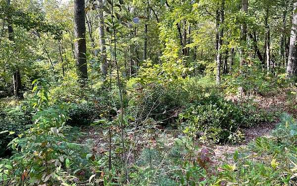 1.15 Acres of Land for Sale in Hayesville, North Carolina