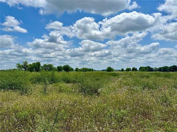 10 Acres of Land for Sale in Navasota, Texas