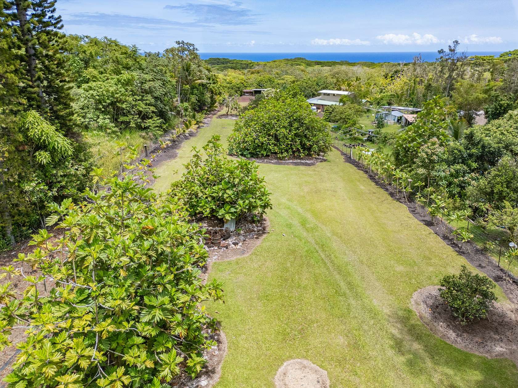 5 Acres of Residential Land for Sale in Pahoa, Hawaii