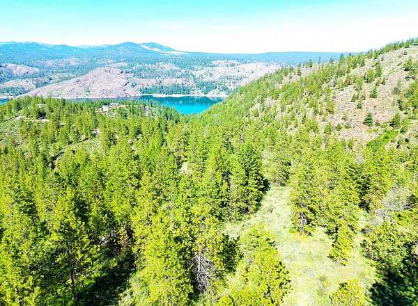 32 Acres of Recreational Land for Sale in Davenport, Washington