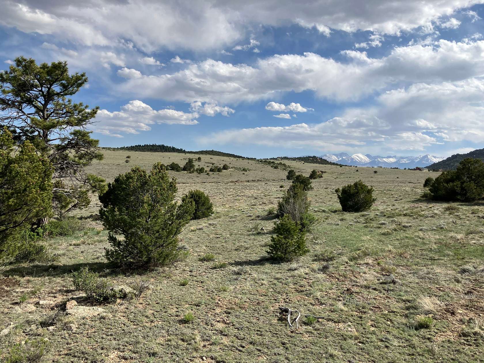 40.8 Acres of Recreational Land for Sale in Westcliffe, Colorado
