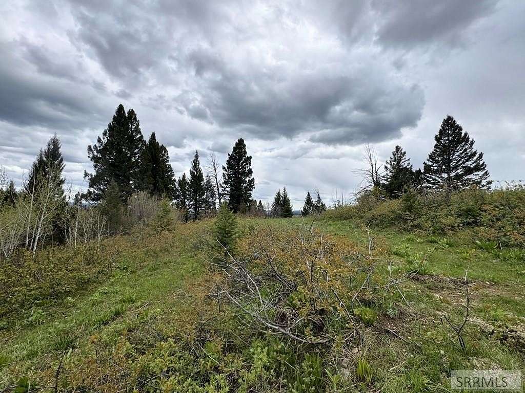 0.81 Acres of Residential Land for Sale in Island Park, Idaho