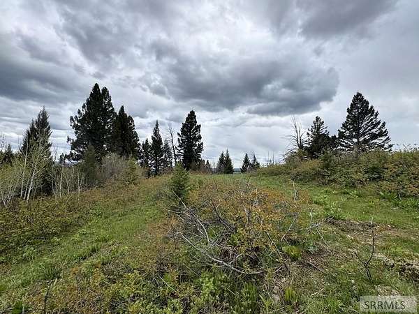 0.81 Acres of Residential Land for Sale in Island Park, Idaho