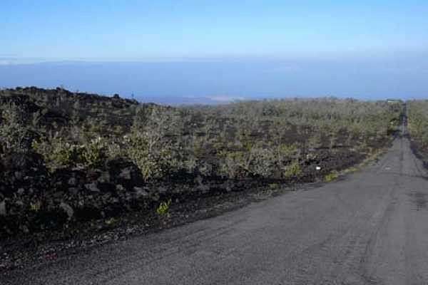 1 Acre of Land for Sale in Hawaiian Ocean View, Hawaii