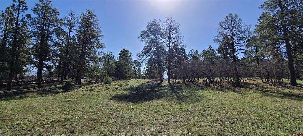 0.94 Acres of Residential Land for Sale in Ridgway, Colorado