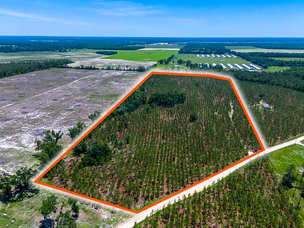 32 Acres of Land for Sale in Lee, Florida