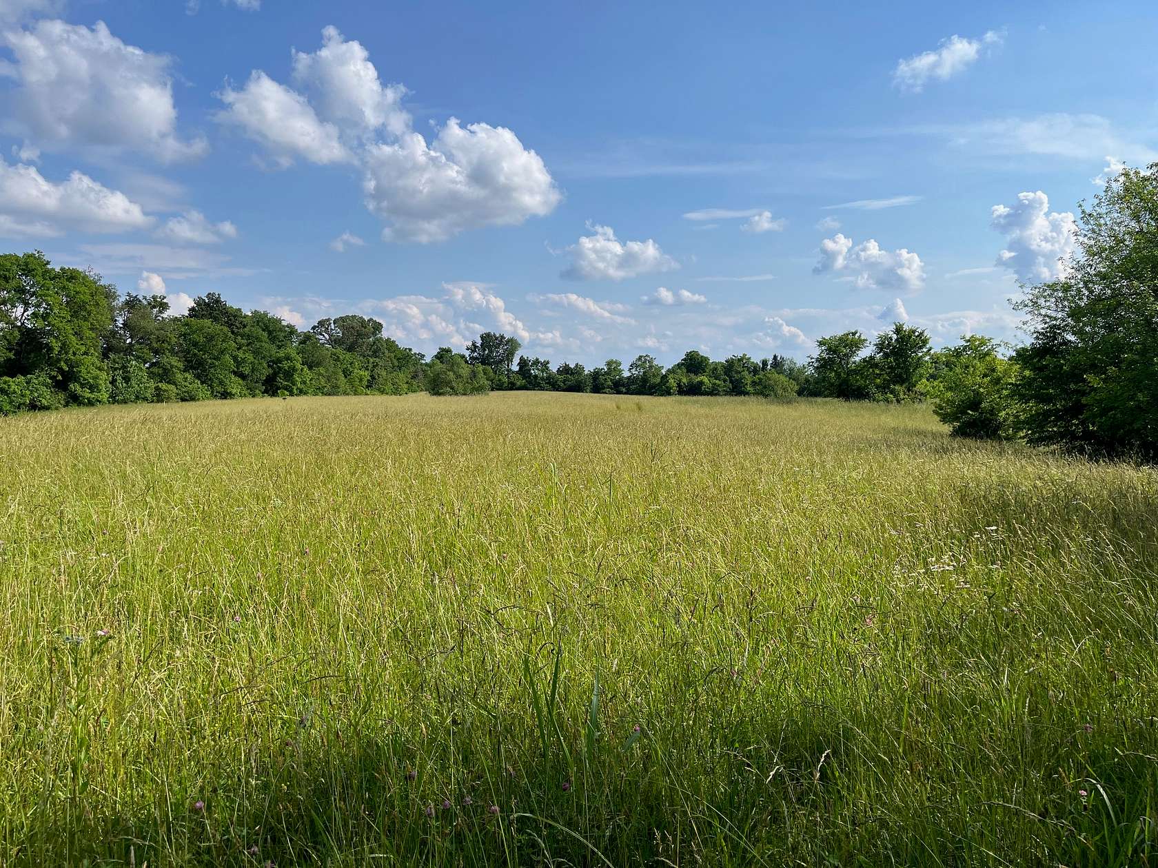 24.1 Acres of Land for Sale in Smiths Grove, Kentucky