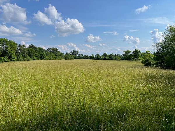 24.1 Acres of Land for Sale in Smiths Grove, Kentucky