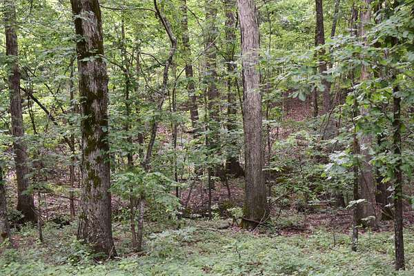 80 Acres of Recreational Land for Sale in Harrisburg, Arkansas