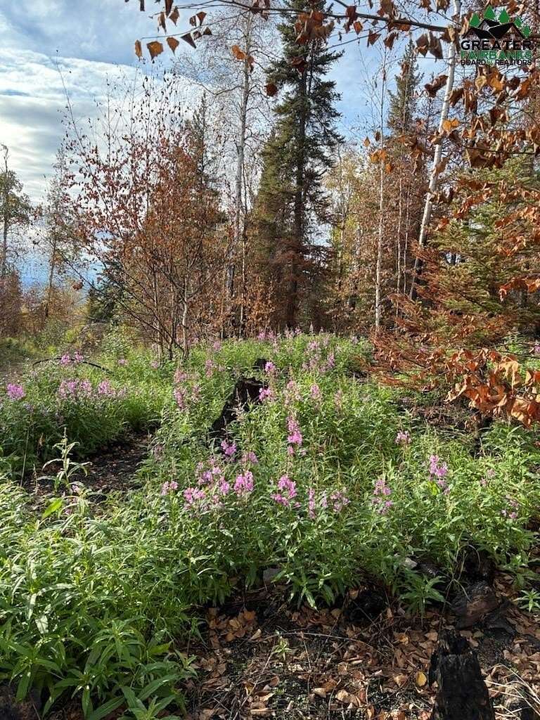 5 Acres of Residential Land for Sale in Nenana, Alaska
