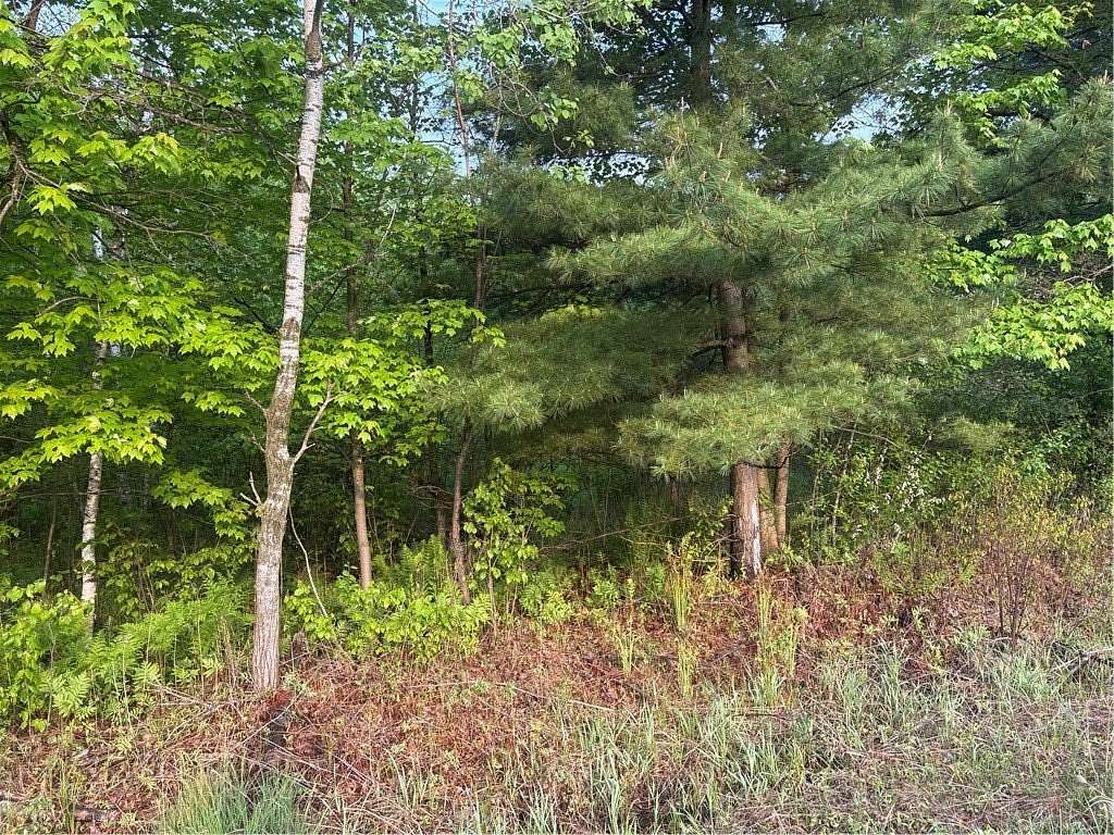4 Acres of Land for Sale in Merrillan, Wisconsin
