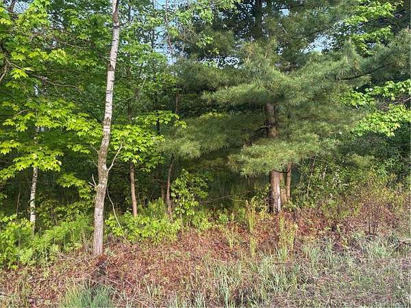 4 Acres of Land for Sale in Merrillan, Wisconsin