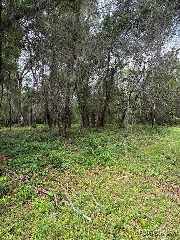 0.36 Acres of Residential Land for Sale in Dunnellon, Florida