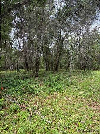 0.36 Acres of Residential Land for Sale in Dunnellon, Florida