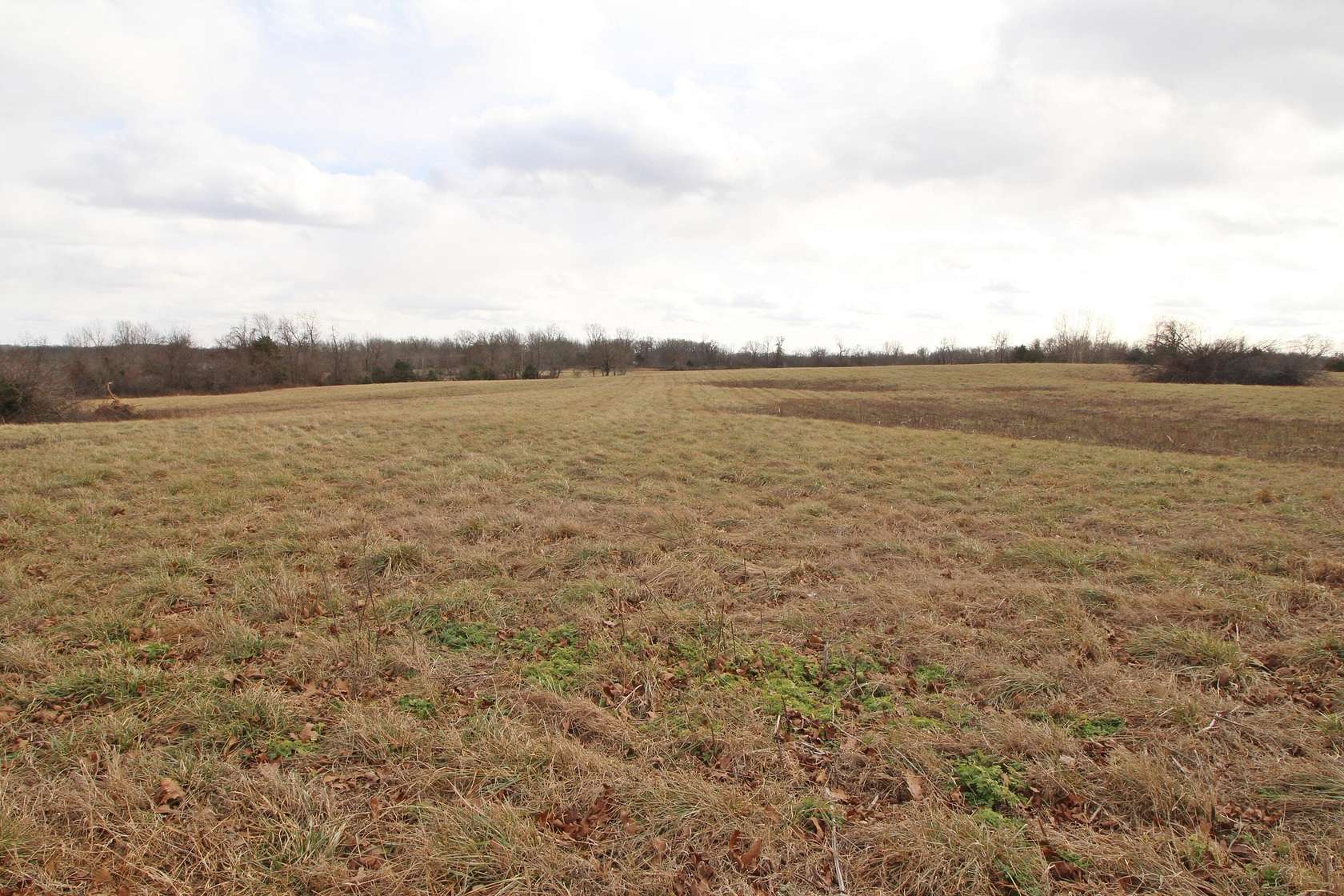 36 Acres of Agricultural Land for Sale in Caulfield, Missouri