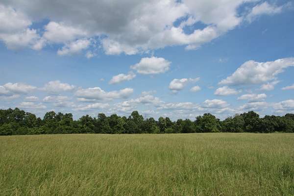 36 Acres of Land for Sale in Caulfield, Missouri