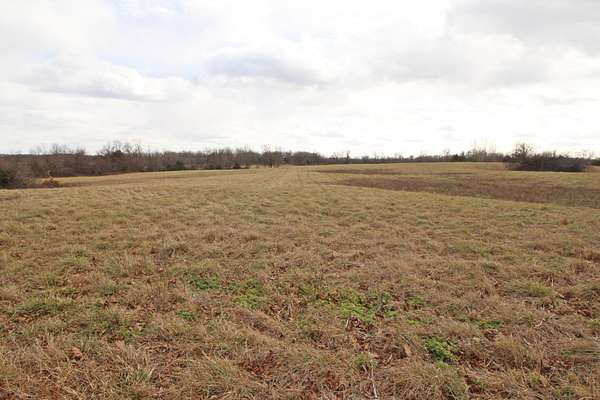 36 Acres of Agricultural Land for Sale in Caulfield, Missouri