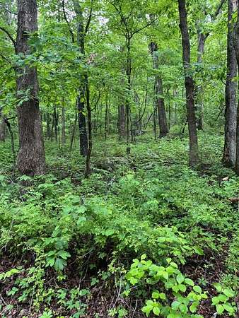 60 Acres of Recreational Land for Sale in Mansfield, Missouri