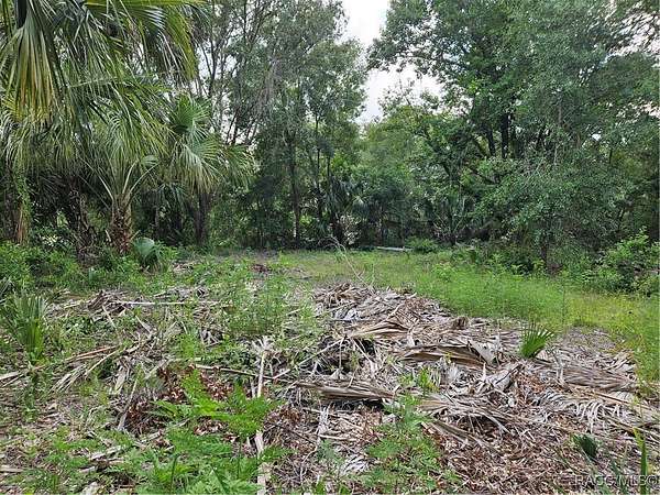 0.31 Acres of Residential Land for Sale in Dunnellon, Florida